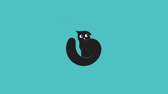 Обои на рабочий стол Черная кошка на голубом фоне