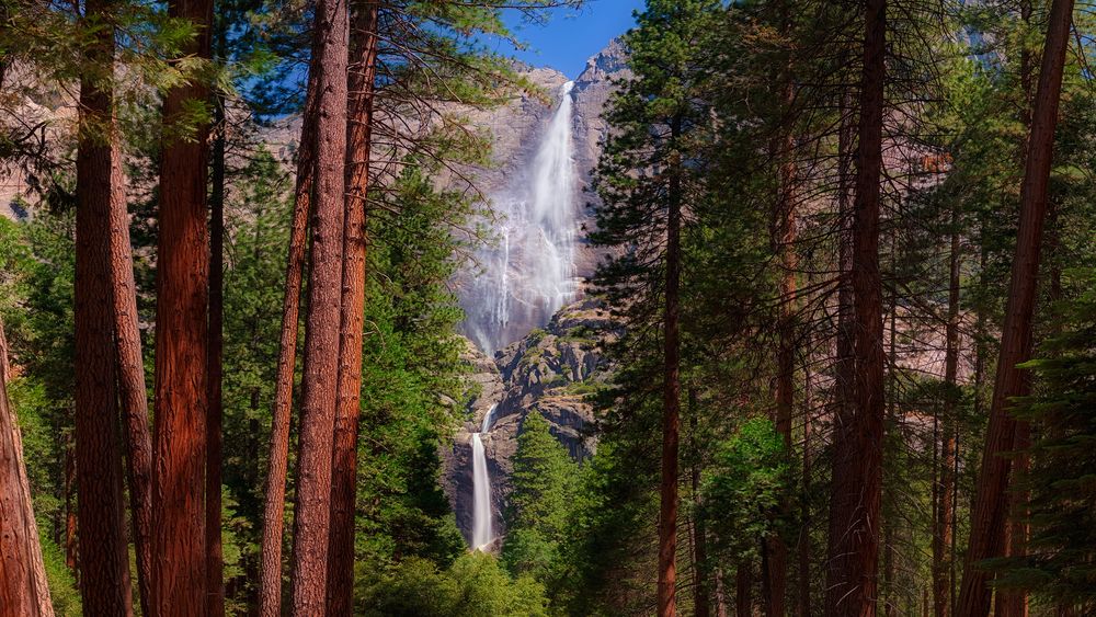 Обои для рабочего стола Вид на водопад сквозь хвойные деревья, Yosemite national Park, California, USA / Йосемитский национальный парк, Калифорния, США