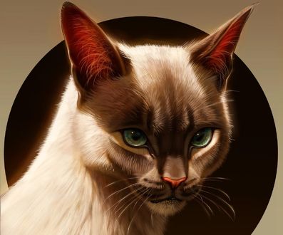 Обои на рабочий стол Кошка с зелеными глазами, by Pixxus