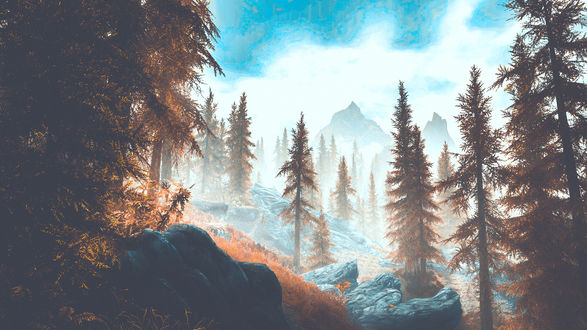 Обои на рабочий стол Пожелтевшие ели на горных склонах из игры Скайрим / Skyrim, by WatchTheSkiies
