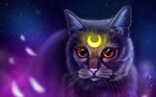 Обои на рабочий стол Кошка с месяцем на лбу, by Followthepaws