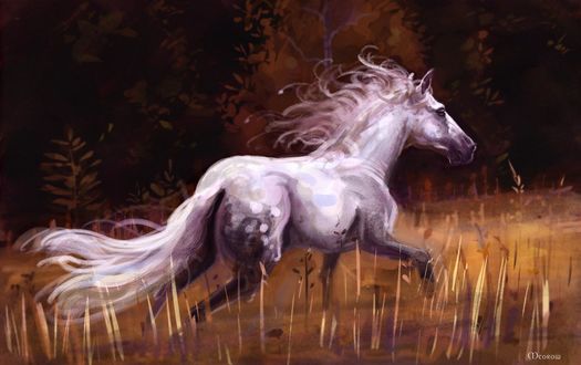 Обои на рабочий стол Лошадь бежит среди колосьев, by Meorow