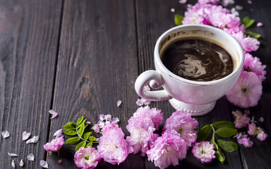 Кофе & цветы