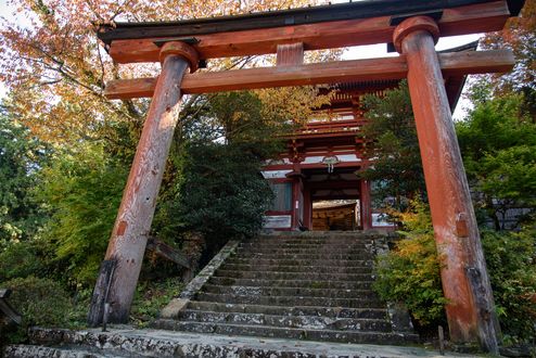 Обои на рабочий стол Традиционные красные ворота тории с лестницей к храму, Japan / Япония