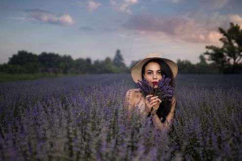 Обои на рабочий стол Девушка Эмилия на лавандовом поле, фотограф Andrea Carretta