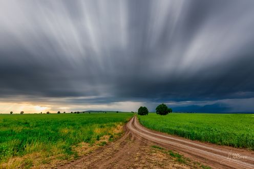Обои на рабочий стол Сельская дорога между зеленых полей, фотограф Faik Nagiyev