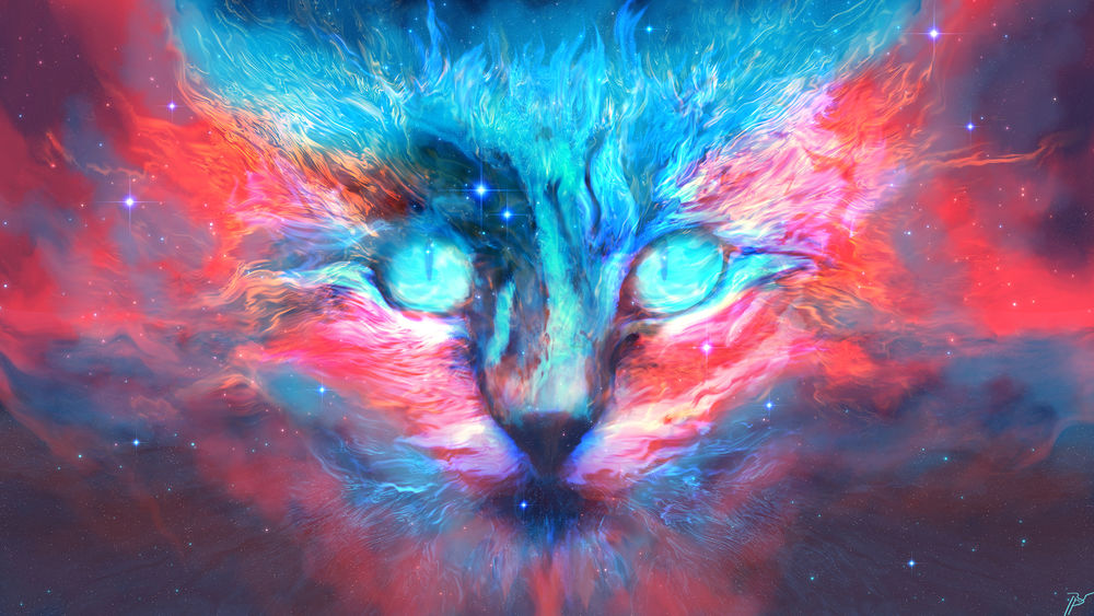 Обои для рабочего стола Космическая кошка, by JoeyJazz