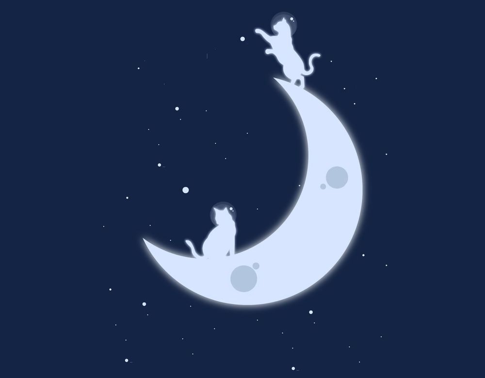 Обои для рабочего стола Кот и кошка на месяце, by James Mason Honda Jr