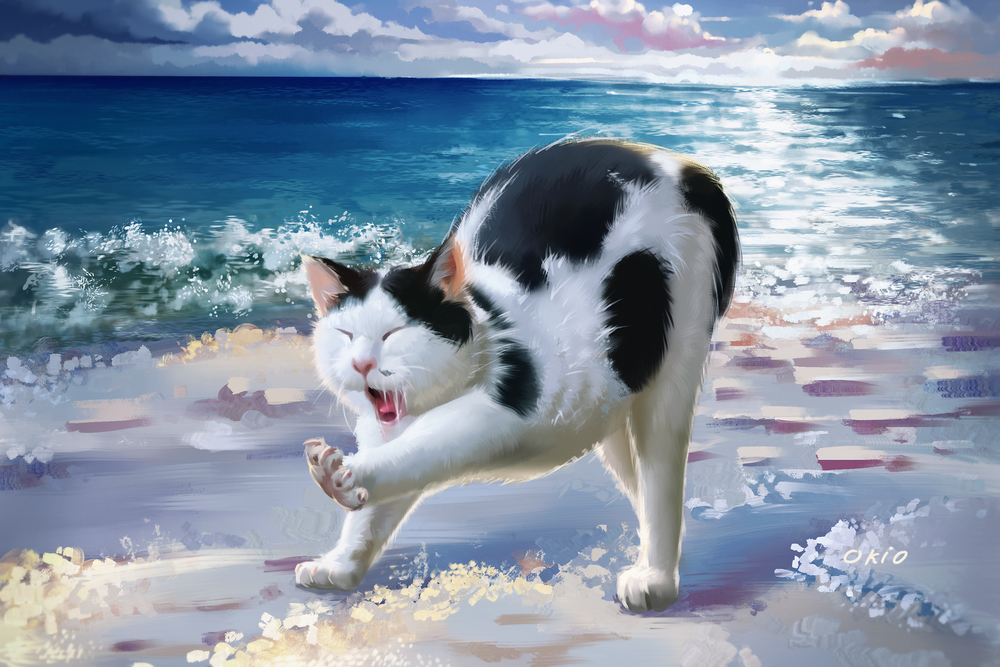 Обои для рабочего стола Черно-белая кошка у моря, by okiochan