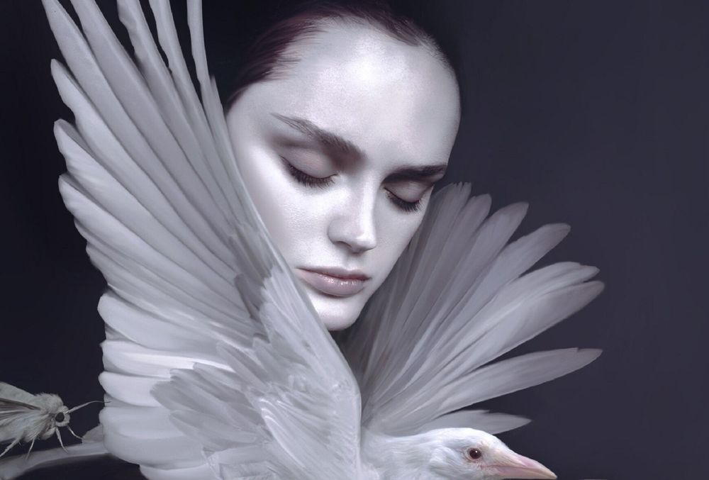 Обои для рабочего стола Девушка с белой птицей, by Mahyar Kalantari