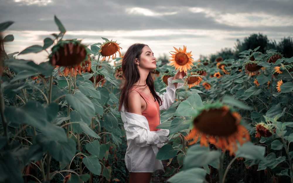Обои для рабочего стола Девушка Andrea стоит в поле подсолнухов, фотограф Andrea Carretta