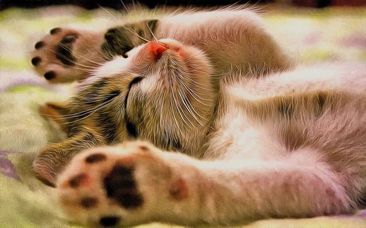 Обои на рабочий стол Рисованный спящий котенок