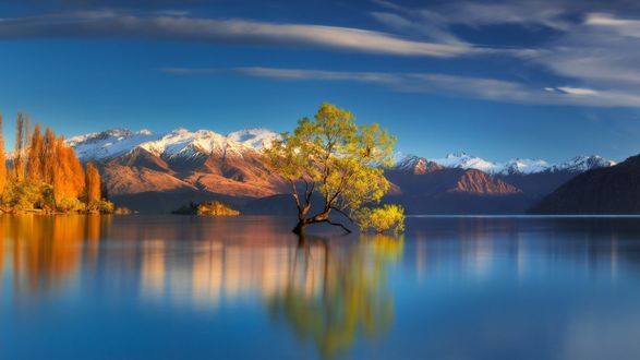 Обои на рабочий стол Одинокое дерево посреди озера / Lake Wanaka на фоне гор в тихую ясную погоду, New Zealand / Новая Зеландия, фотограф Dylan Toh