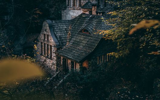 Обои на рабочий стол Дом среди леса, фотограф Philipp Knape