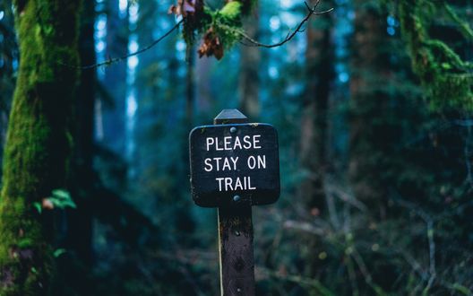 Обои на рабочий стол Предупреждающая табличка в лесу (please stay on trail / пожалуйста, оставайтесь на тропе)