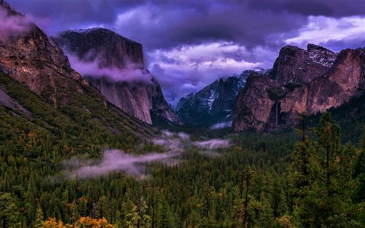 Обои на рабочий стол Туман над деревьями среди скал, Yosemite National Park, USA / Национальный парк Йосемити, США