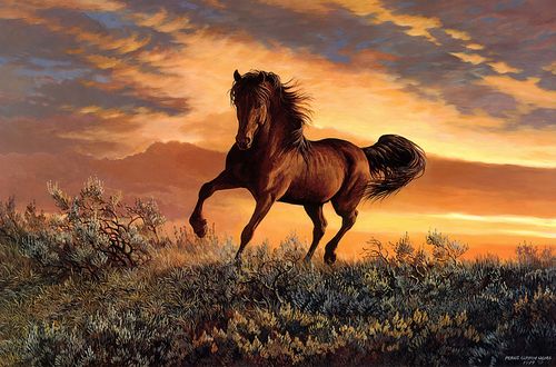 Обои на рабочий стол Дикий мустанг несется по прерии на закате, by Persis Clayton Weirs