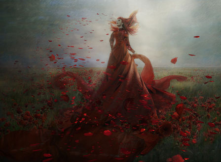 Обои на рабочий стол Девушка в красном платье среди макового поля, by Madink art