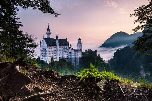Обои на рабочий стол Сastle Neuschwanstein / замок Нойшванштайн в утренние часы, by Arnd Kolleck