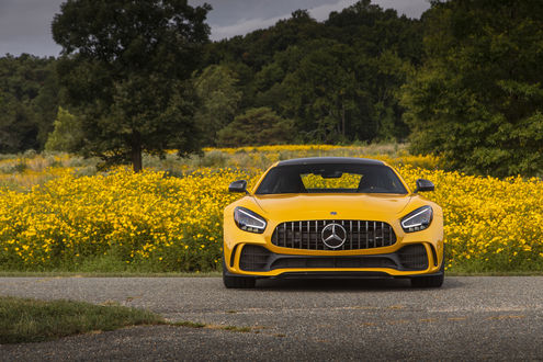 Обои на рабочий стол Желтый Mercedes-AMG GT R (C190) 2019 стоит на дороге у цветущего поля