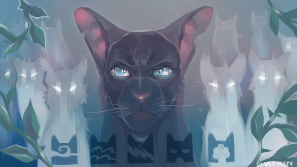 Обои на рабочий стол Черный голубоглазый кок на фоне котов, by SimplyMisty