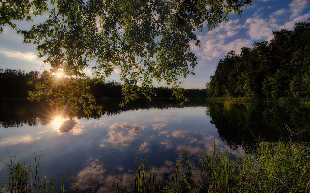 Обои для рабочего стола Солнце садится на край леса, отражаясь в реке, фотограф Федотов Антон