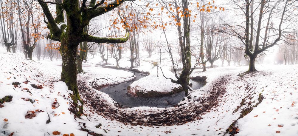 Обои для рабочего стола Речка в лесу, покрытым первым снегом