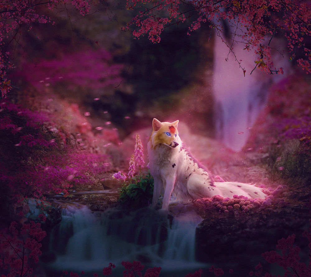 Обои для рабочего стола Разноцветная лиса в сказочном цветущем лесу, by Nikkayla
