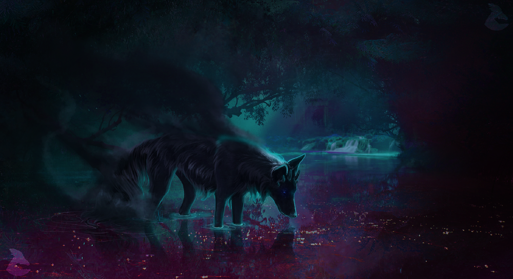 Обои для рабочего стола Черный волк стоит в воде в сумрачном лесу, by Nikkayla