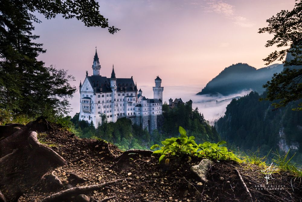 Обои для рабочего стола Сastle Neuschwanstein / замок Нойшванштайн в утренние часы, by Arnd Kolleck