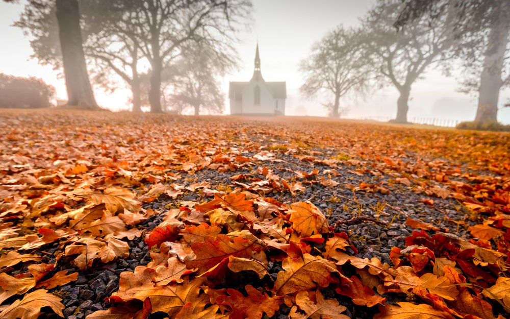 Обои для рабочего стола Дорога усыпана осенними листьями, Christ Church, Pukehou, Hawkes Bay, New Zealand / церковь Черч, Pukehou, Хокс-Бей, Новая Зеландия, фотограф Andrew Caldwell