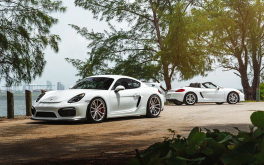 Обои на рабочий стол Два белых Porsche Cayman GT4 стоят на берегу залива у деревьев, фотограф William Stern