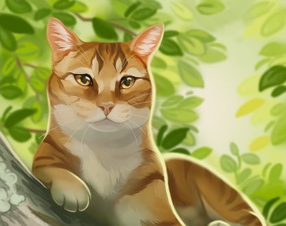 Обои на рабочий стол Кошка на дереве, by Michelle Thomas
