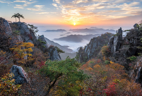 Обои на рабочий стол Долина гор в облаках, by jae youn Ryu