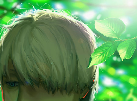 Обои на рабочий стол Гинко-сан / Ginko-san из аниме Mushishi / Мастер Муши