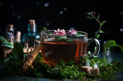 Обои на рабочий стол Стеклянная чашка чая с цветами стоит на мху среди склянок и кусочков сахара