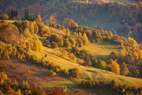 Обои на рабочий стол Осень в Карпатах, фотограф Степанова Татьяна