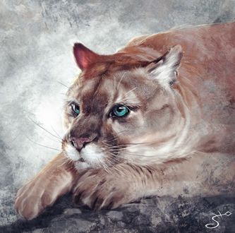 Обои на рабочий стол Голубоглазая рысь, by Vera Velichko