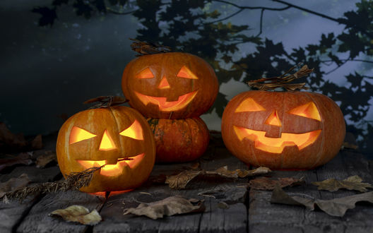 Обои на рабочий стол Тыквы на дощатой поверхности к празднику Хэллоуин / Halloween