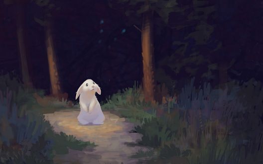 Обои на рабочий стол Кролик сидит на тропинке, by Andrei Romashikhin