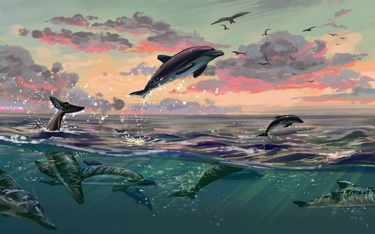 Обои на рабочий стол Дельфины в воде и над ней, by Polina 1NFIN1TY Cheliadinova