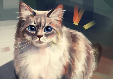 Обои на рабочий стол Кошка с голубыми глазами, by Polina 1NFIN1TY Cheliadinova