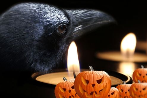 Обои на рабочий стол Черный ворон, горящие свечи и светильники Джека, by Susan Cipriano