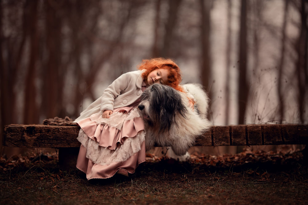 Обои для рабочего стола Девочка сидит рядом с собакой. Фотограф Ragan Sylwia