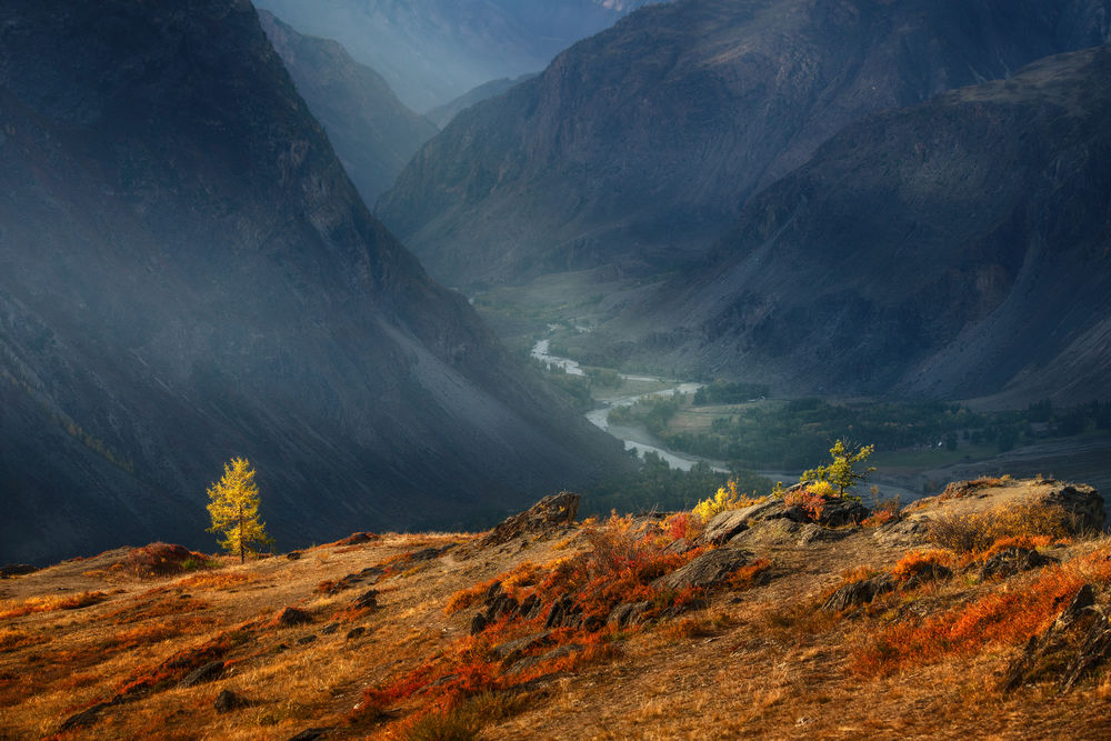Обои для рабочего стола Осень в Алтайском крае. Фотограф Краси Матаров