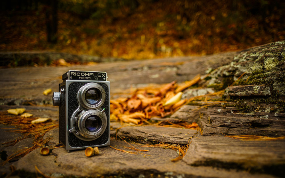 Обои для рабочего стола Фотокамера стоит на дороге с осенними листьями, by Explorographer