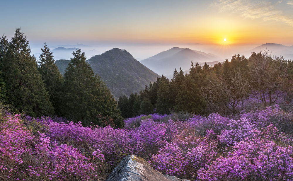Обои для рабочего стола Утро в Cheonjusan, South Korea / Чонджусан, Южная Корея, by jae youn Ryu