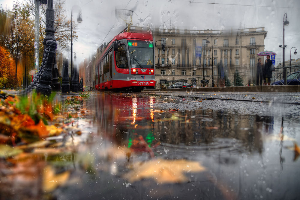 Обои для рабочего стола Трамвай на осенней дождливой улице, by Ed Gordeev