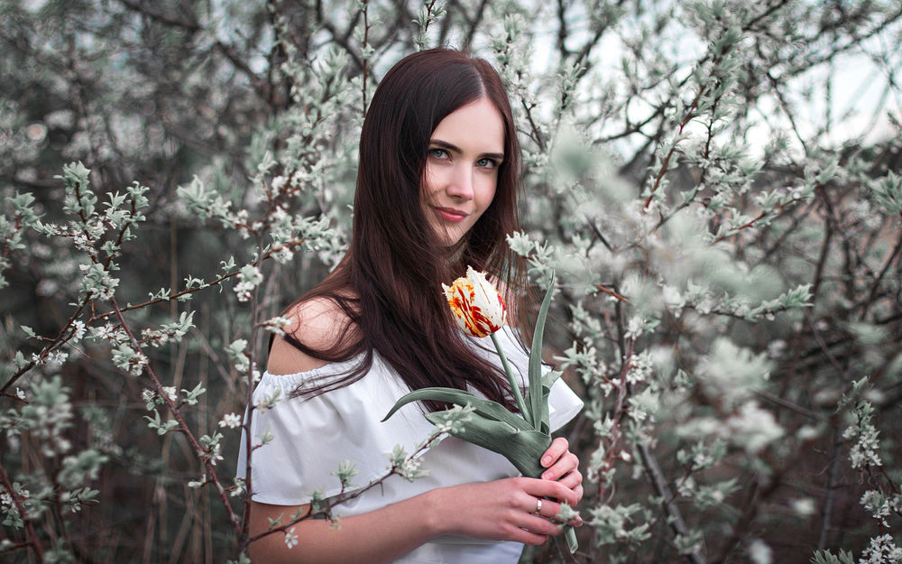Обои для рабочего стола Девушка с тюльпаном в руке стоит на фоне цветущих кустов, фотограф Иван Щеглов