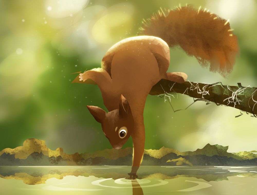 Обои для рабочего стола Белка лапкой дотрагивается до воды, by Sojeong Jeong